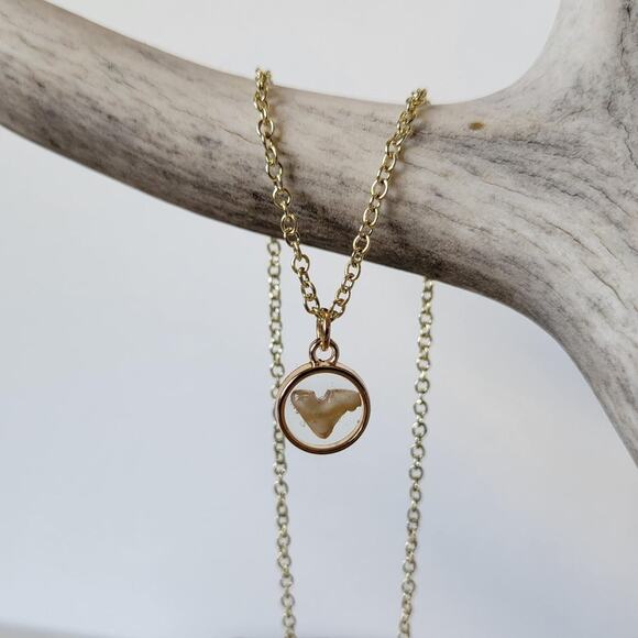 Handmade Coyote Tooth Pendant on 18" Gold Tone Chain - Picture 1 of 3